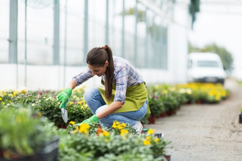 Team member inspecting a lawn after a mowing service