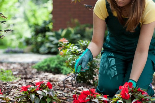 Operator wearing PPE using a lawn mower in a suburban garden
