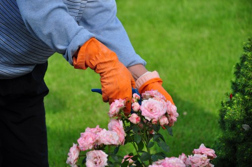 Healthy green lawn in Chigwell